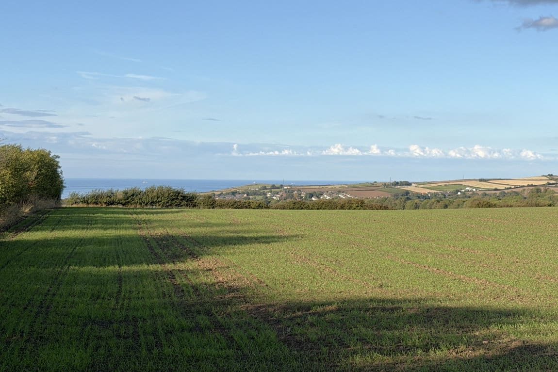 Lot 2: 28 Acres Approx of Land at Moorsholm Lane, Liverton, Saltburn by the Sea