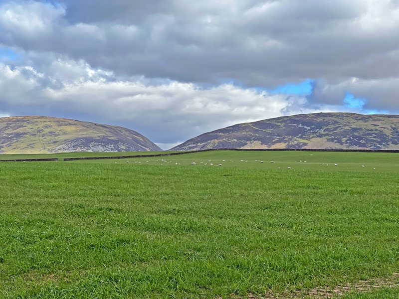 Linnside Farm
