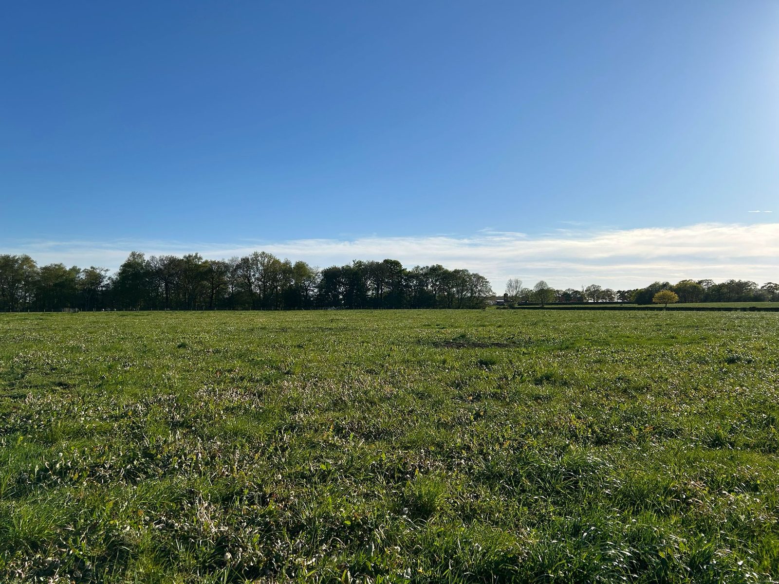 Land on Davenport Lane, Brereton