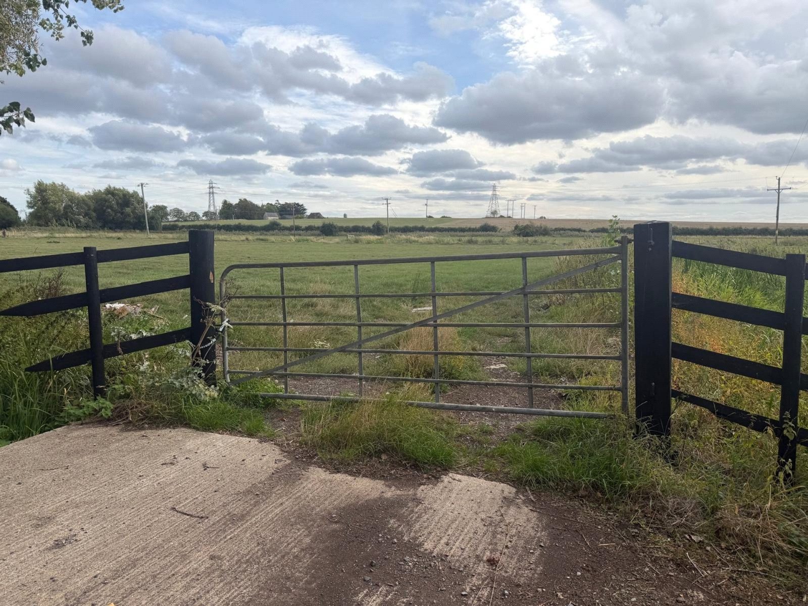 Aller Drove, Aller, Langport