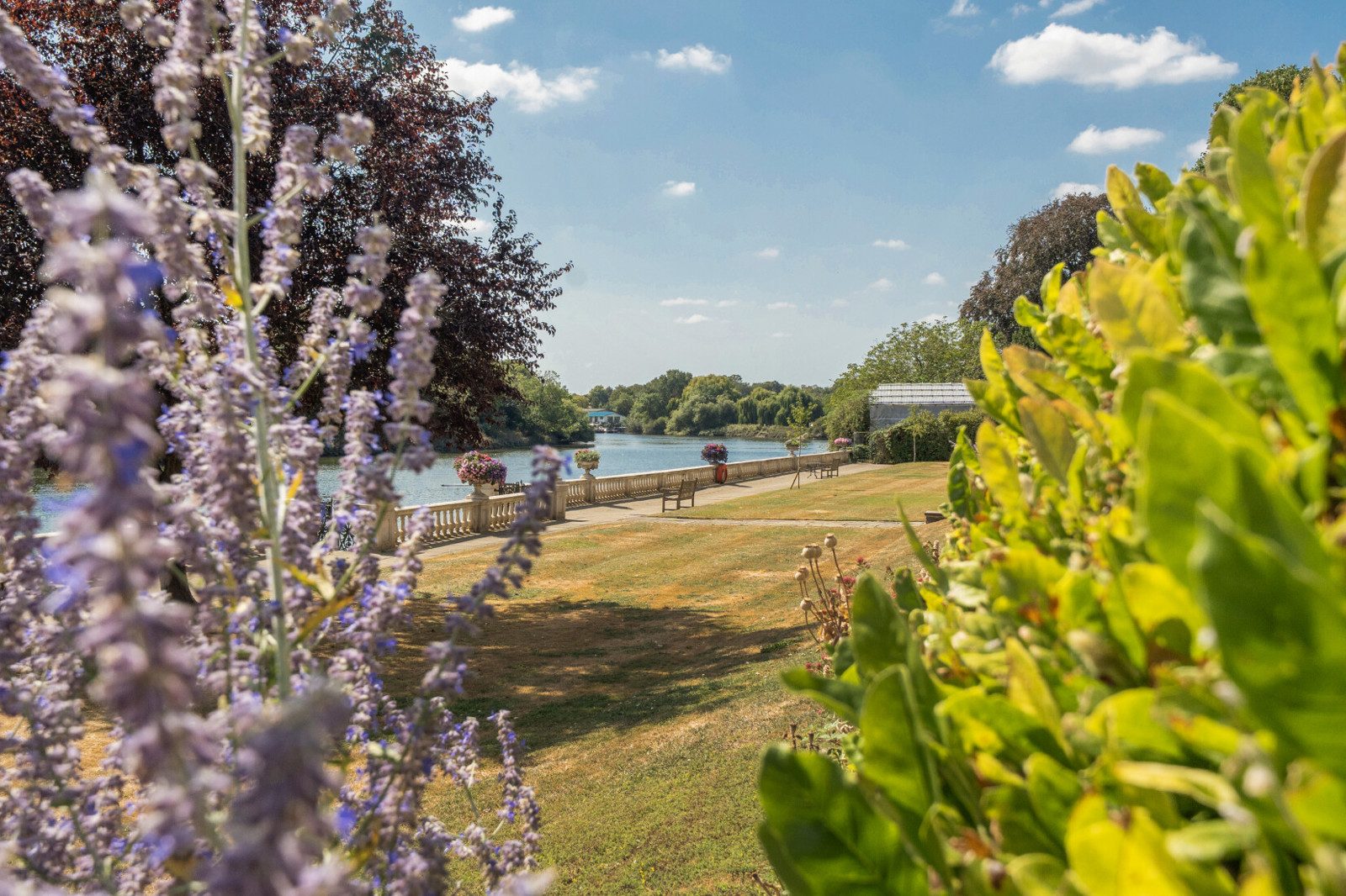 Thames Eyot, Cross Deep, Twickenham, TW1