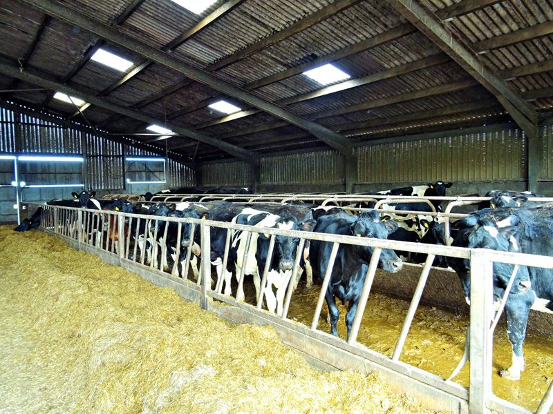 Several Farm