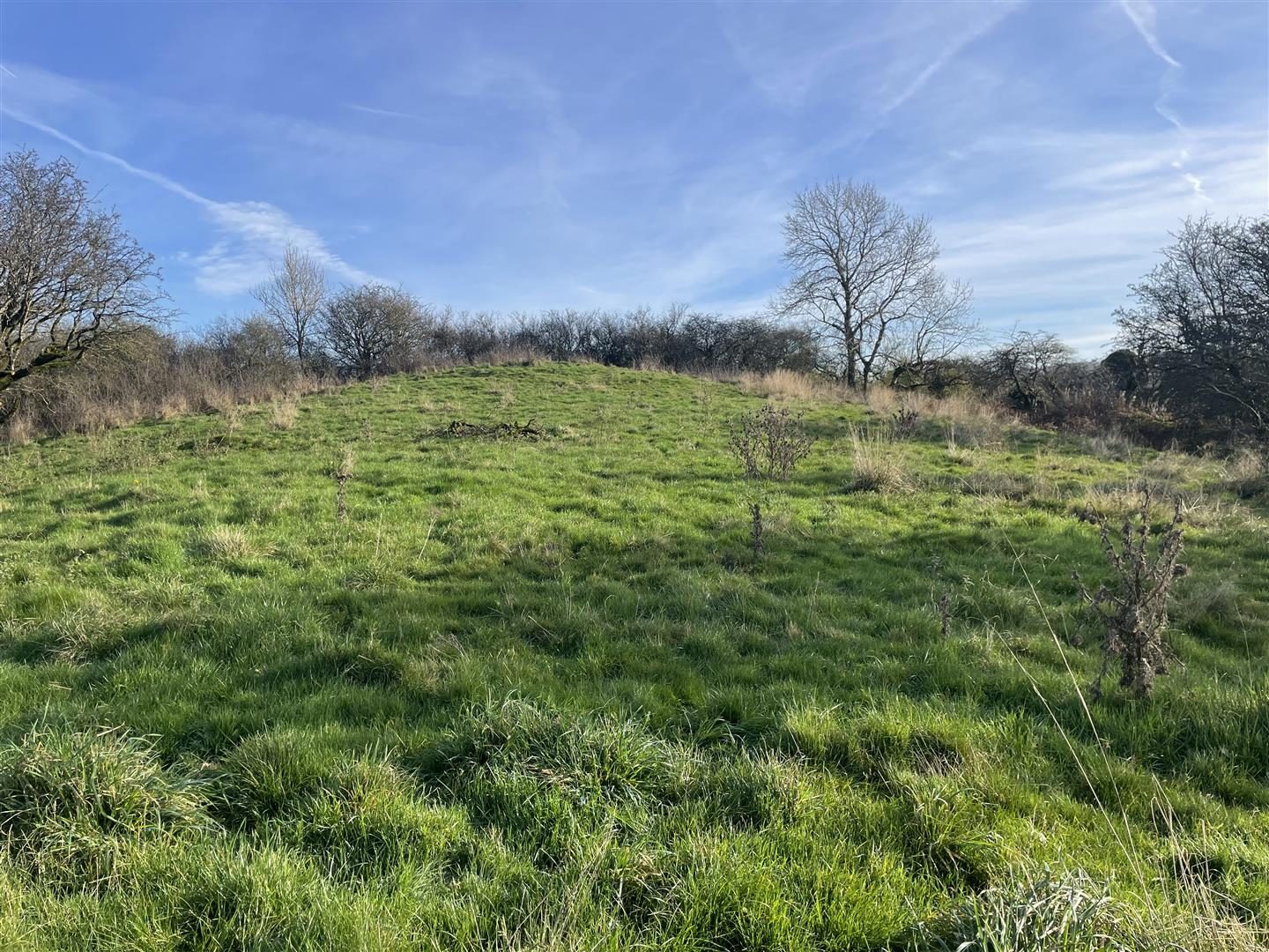 Lot 1 land at Ible, Grange Mill, Matlock, Grange Mill Matlock, DE4 4HS