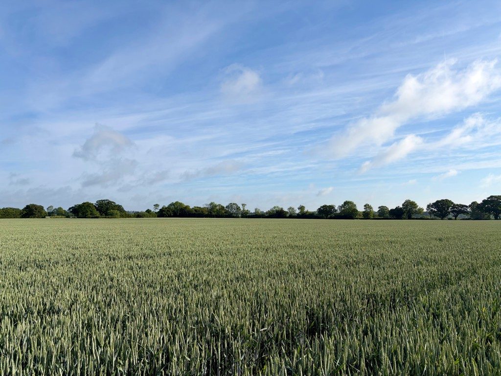 Land for sale in Wissett