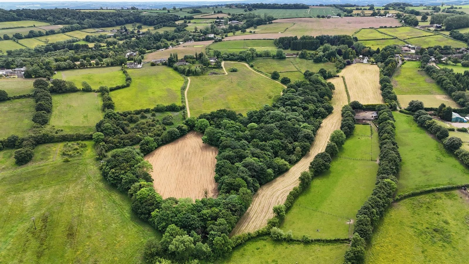 Chain free equestrian, Troway