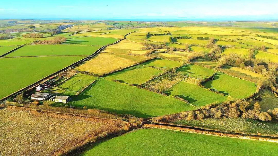 Smallholding with paddocks in Llanybydder