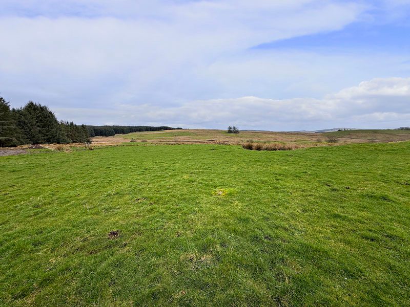 Low Arvie Farm