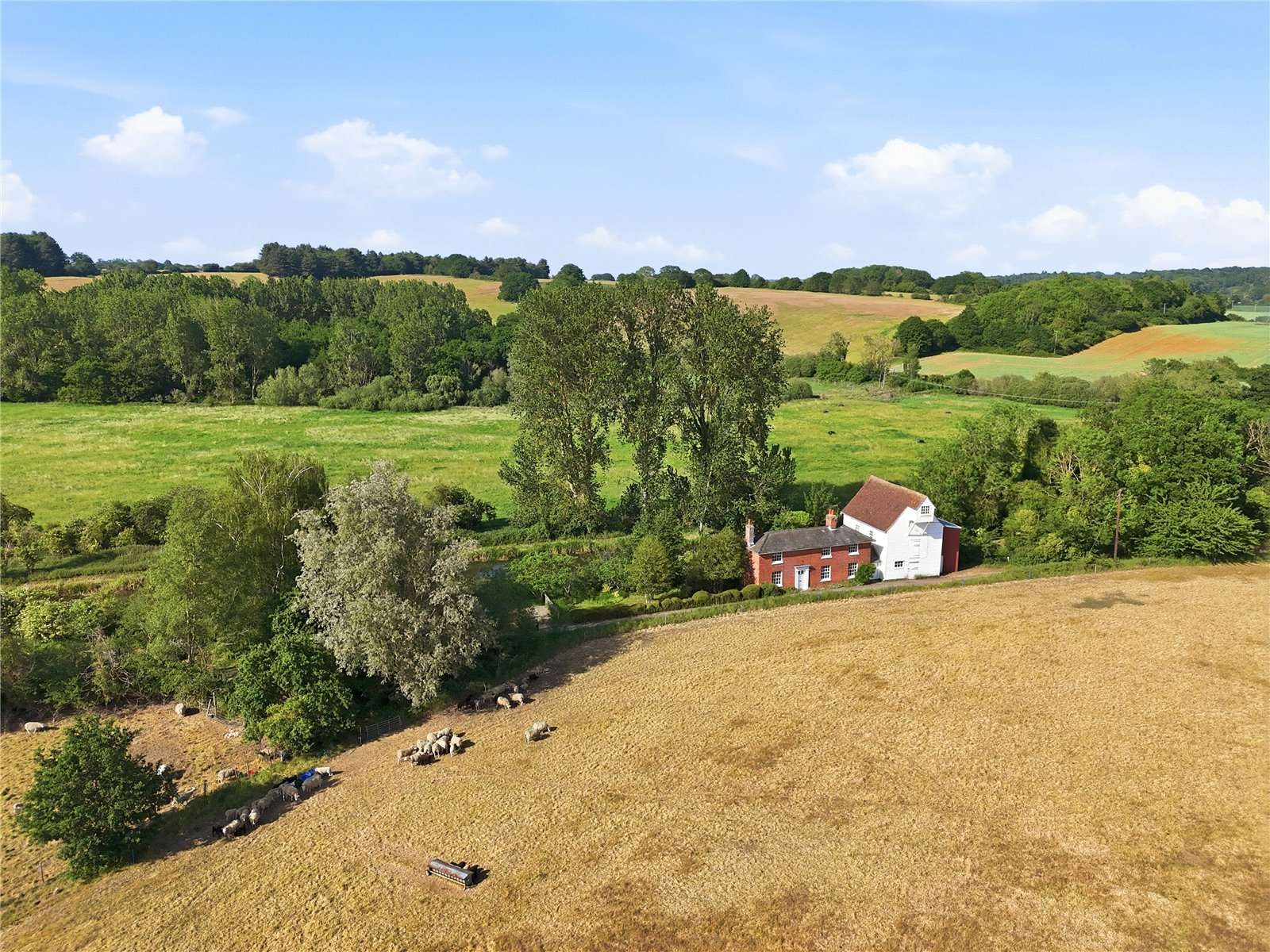 House with paddocks in Stoke By Nayland