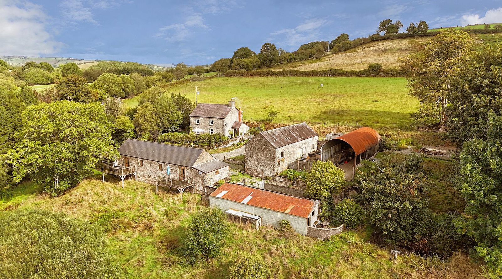 Pumpsaint CARMARTHENSHIRE: cottage with paddocks
