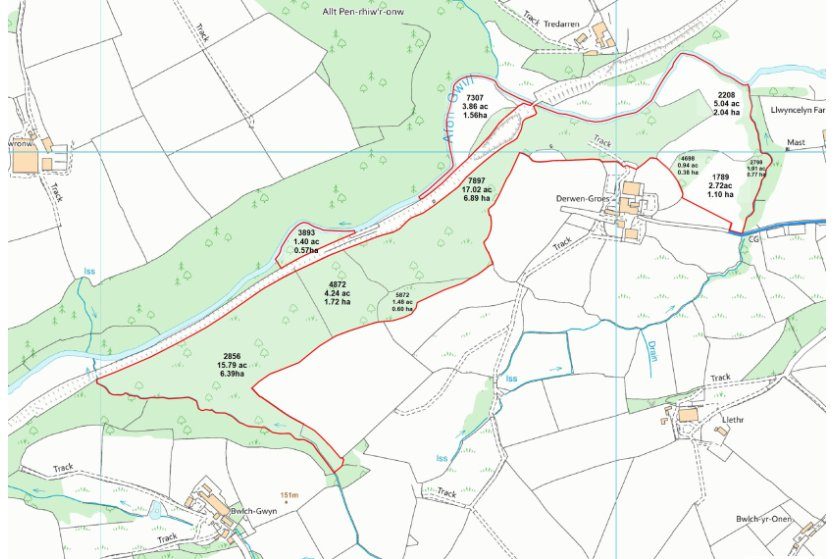 42.78 ac Woodland and Land, Dderwen Groes, Llanpumsaint, SA33 6LR