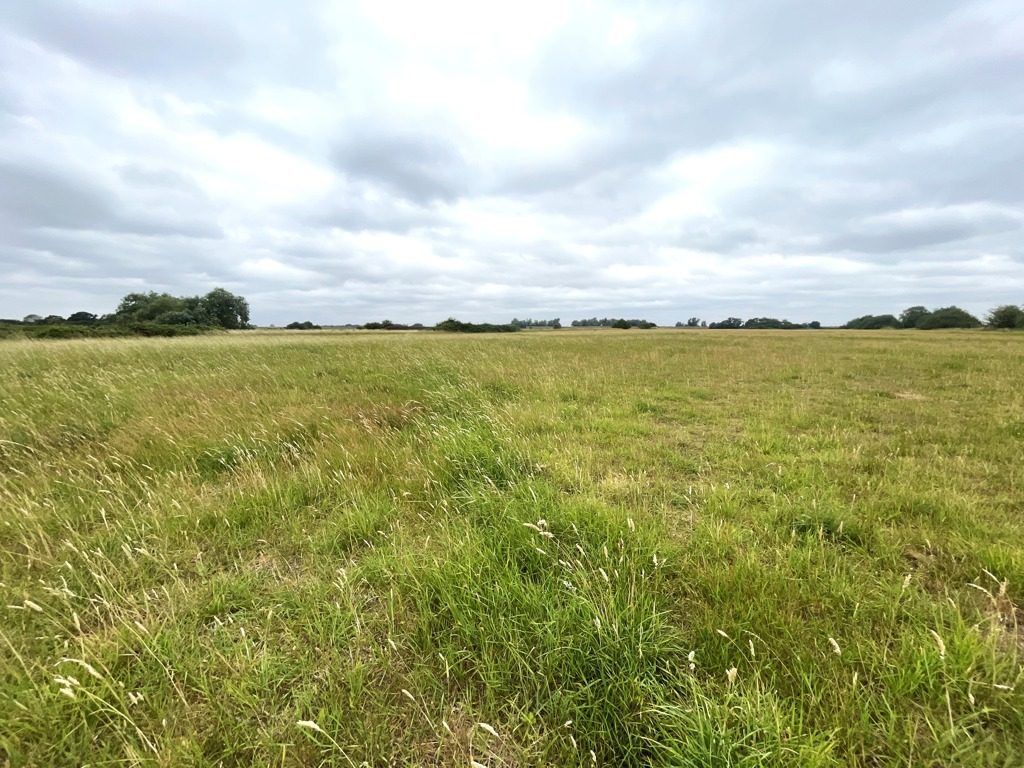 Pasture Land At The Corkerets, Gravel Drove, Coveney, Ely, Cambridgeshire
