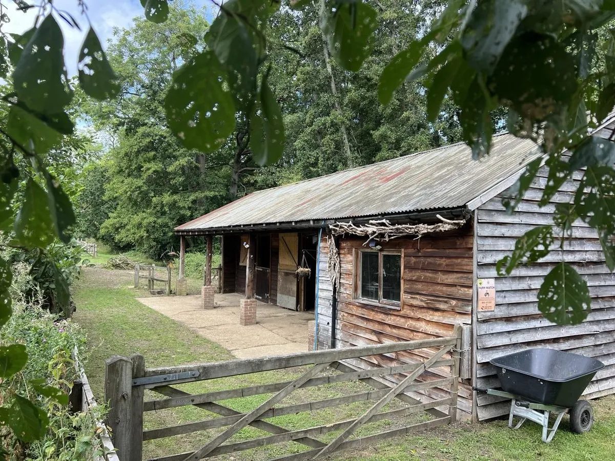 Equestrian with outbuildings in Hascombe