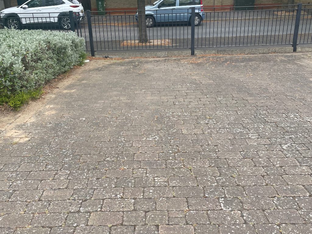 Allocated Space on Ring Fort Road