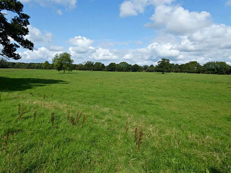 Woodside Farm