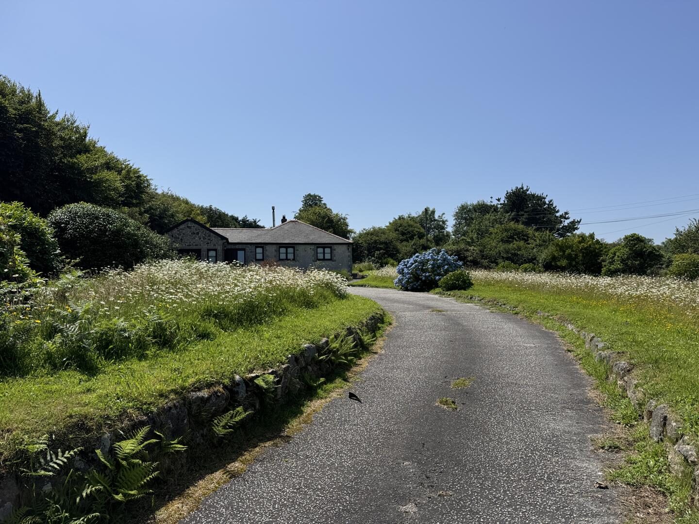 Detached bungalow with paddocks, Redruth