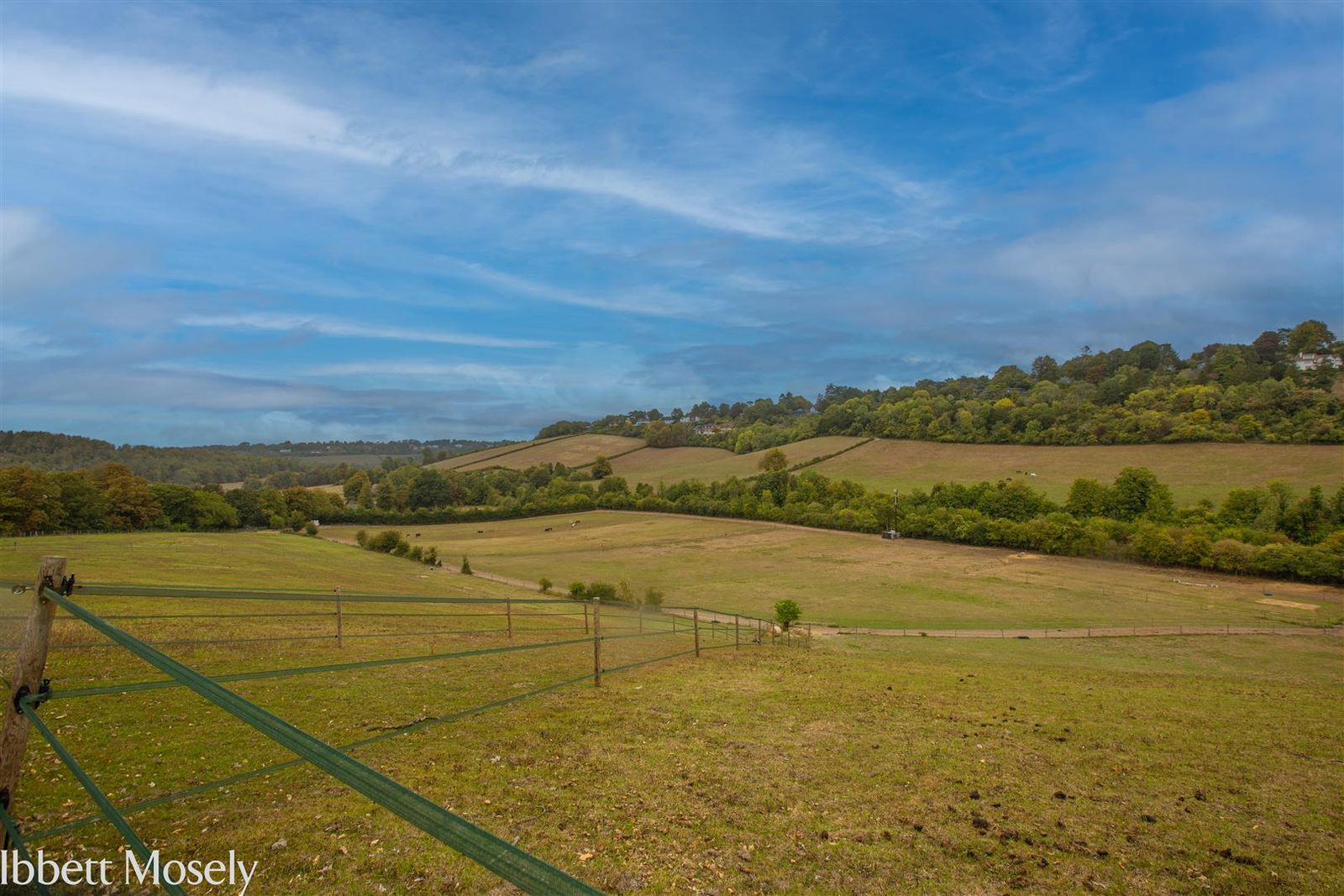 Equestrian with paddocks in Woldingham