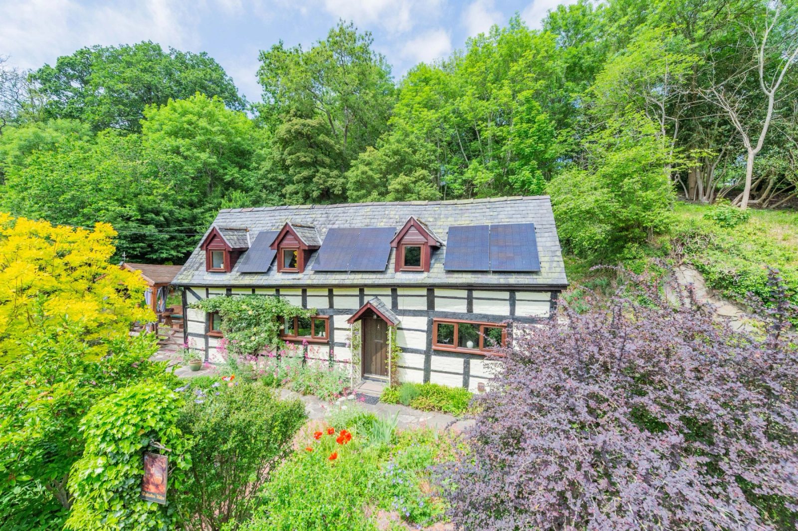 Montgomery: detached house with paddocks