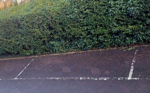 Parking on South Road Mews, BN1