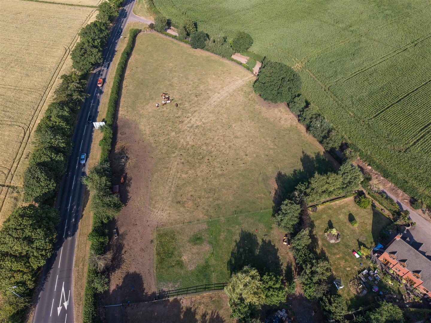 Land with paddocks, Stafford