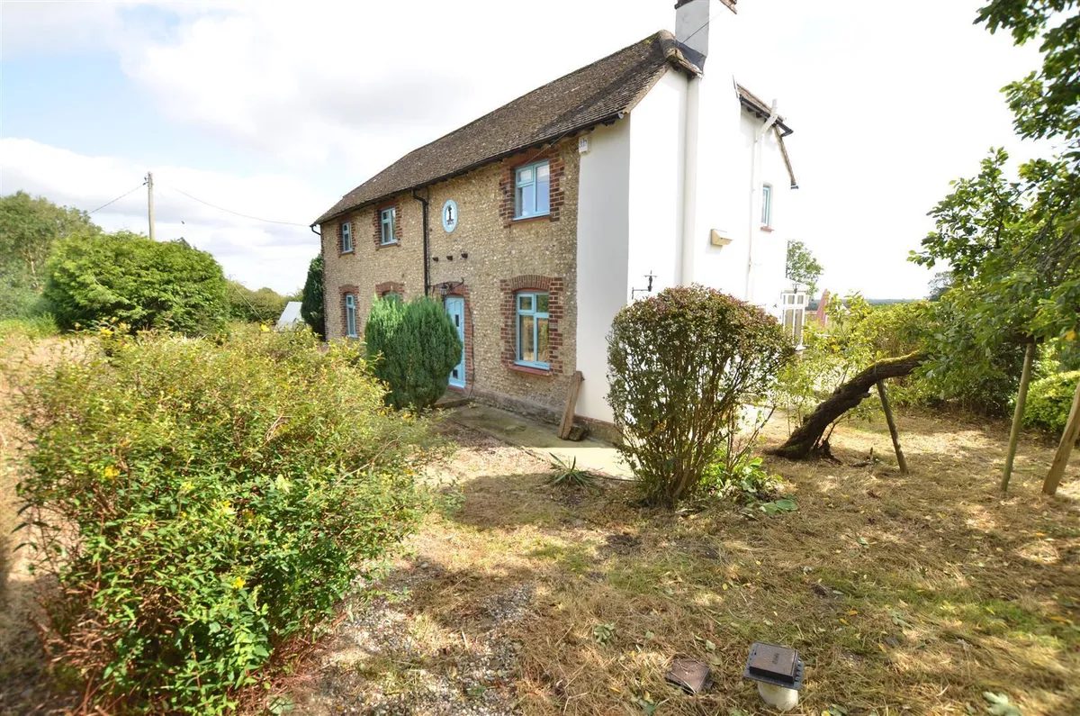 Equestrian with no near neighbours, Warlingham