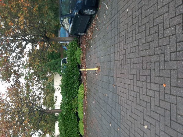 Parking on Grovepark Gardens, G20