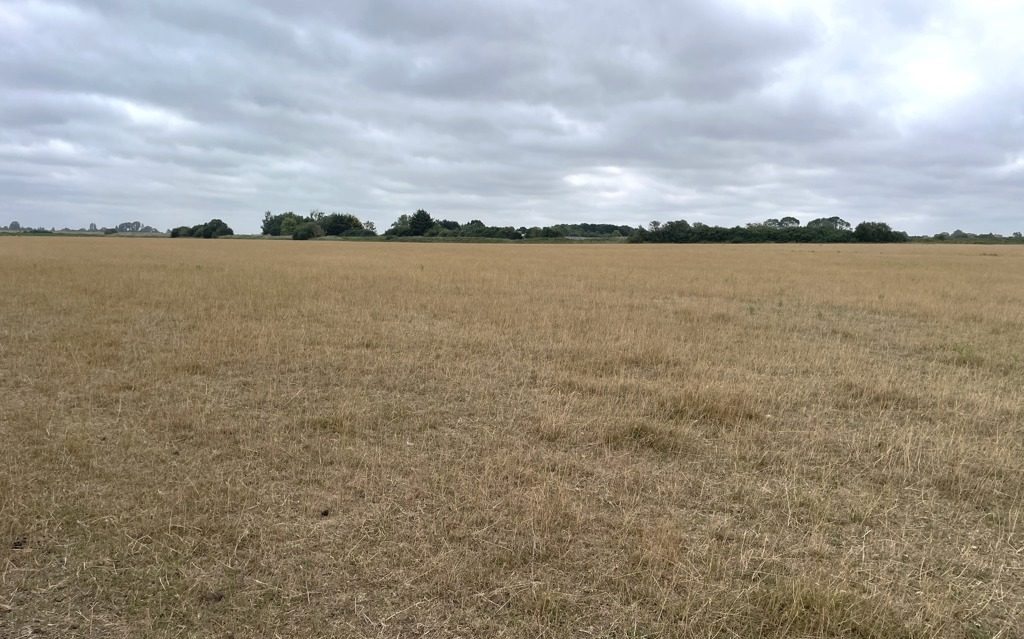 Agricultural Ely