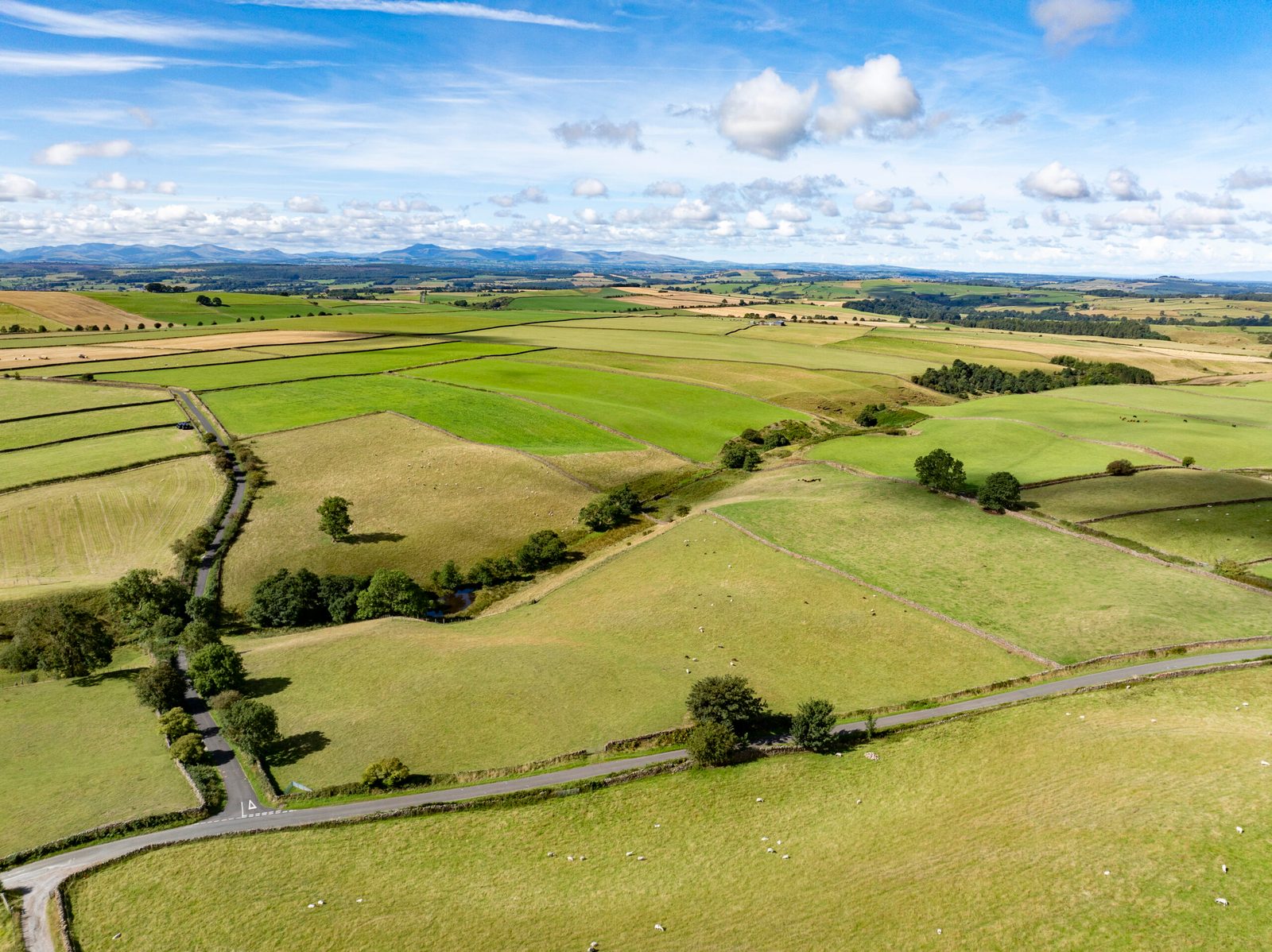 Middle Farm & Croft House, Scalehouses, Renwick, Penrith, CA10 1JY
