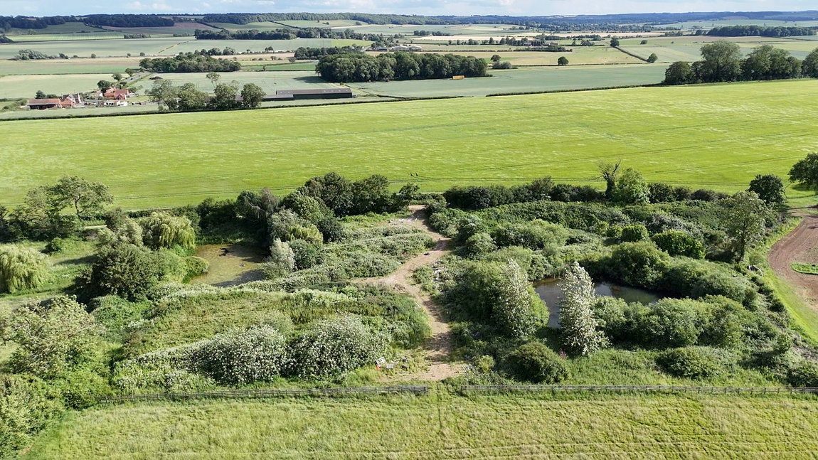 Paddock, Pond and Yard Area, Carlton Scroop