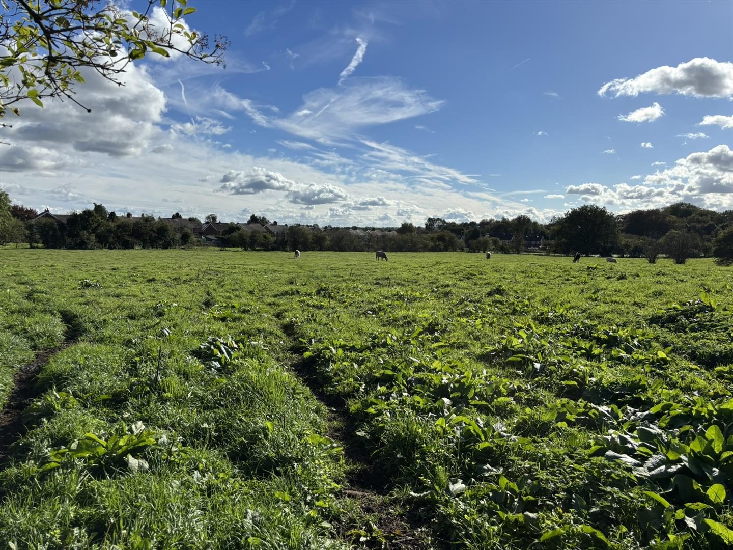 Land off, Draycott Old Road, Stoke on Trent, ST11 9AJ