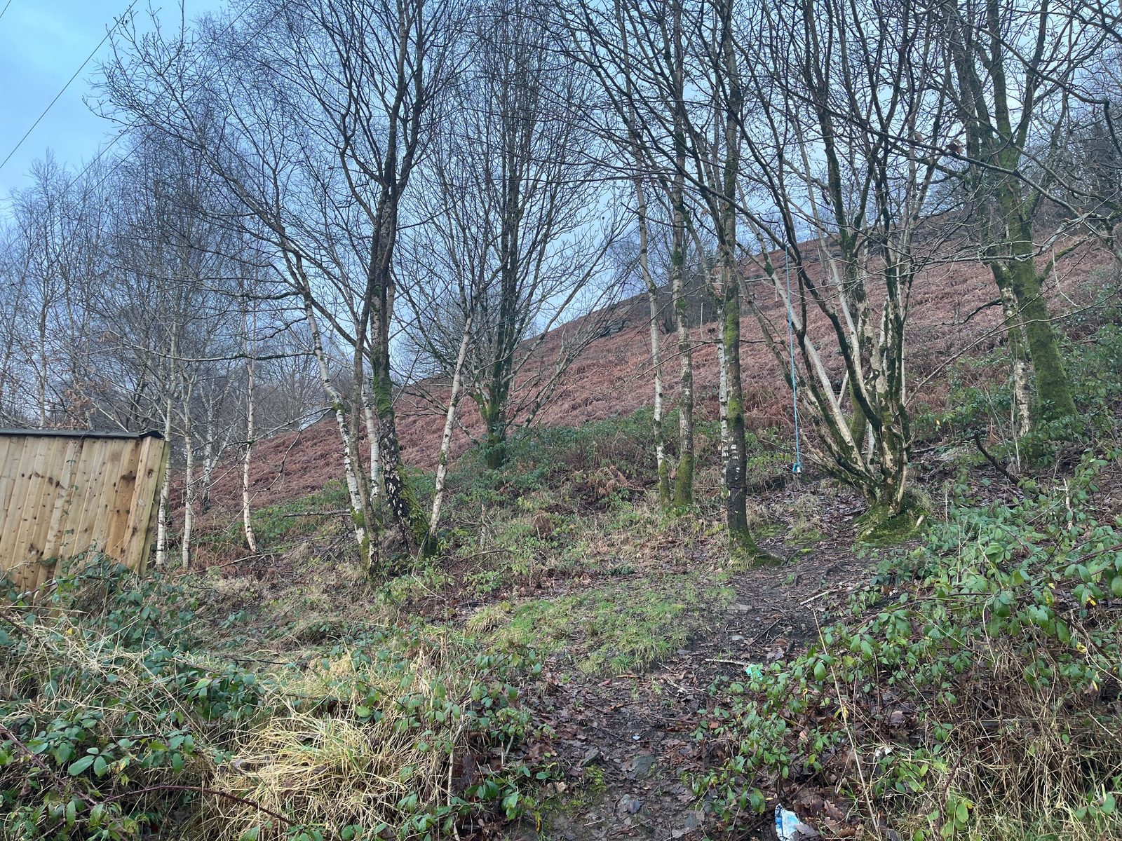 Acres of land, Mountain Ash, RCT