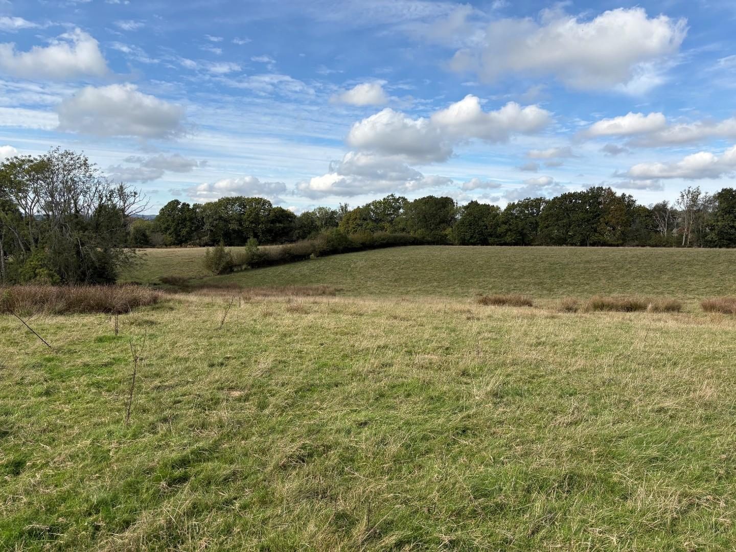 Lot A- Land off Horleigh Green Road, Five Ashes, Mayfield