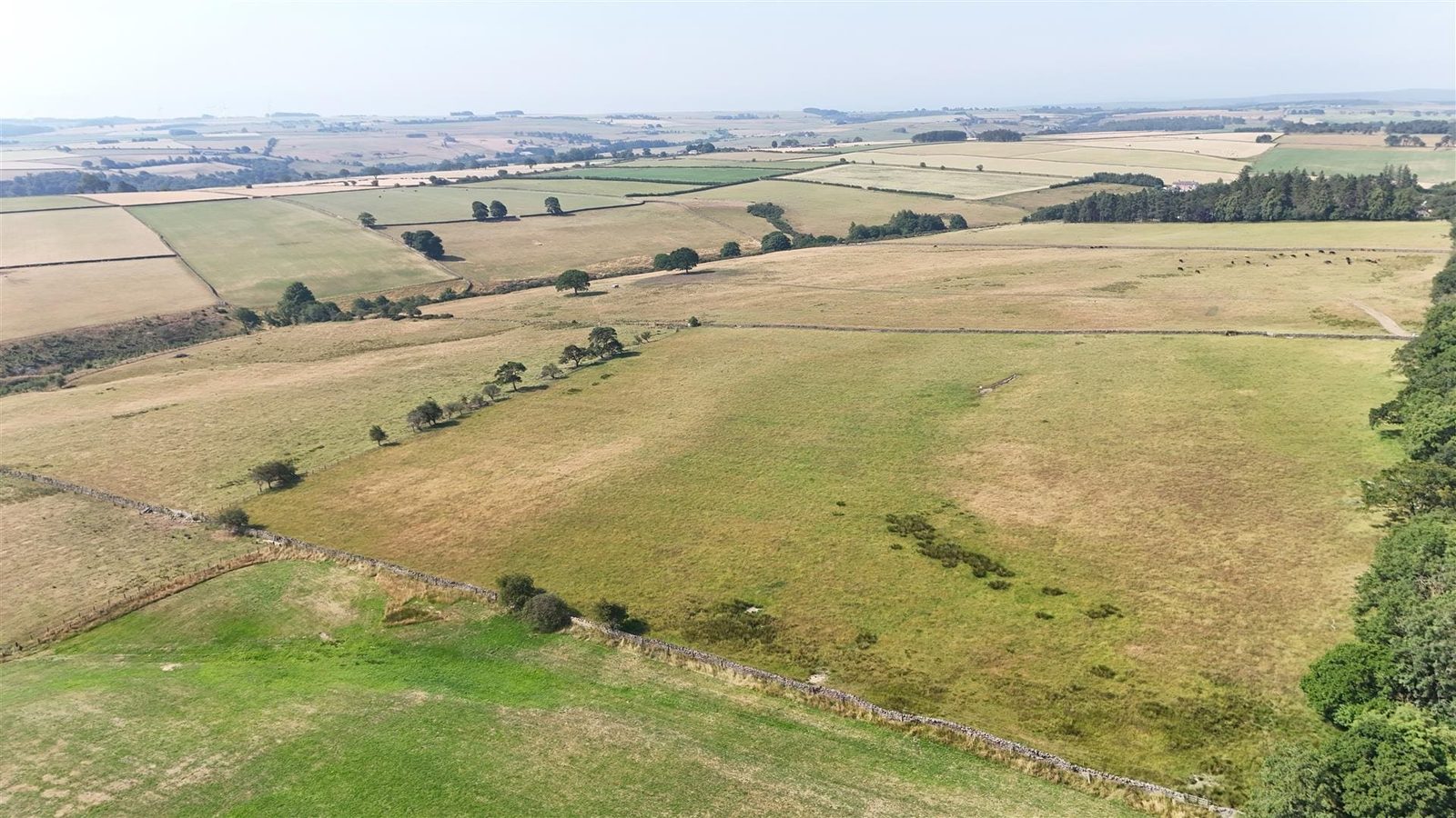 Land at Sheepwalks Farm, Lanchester