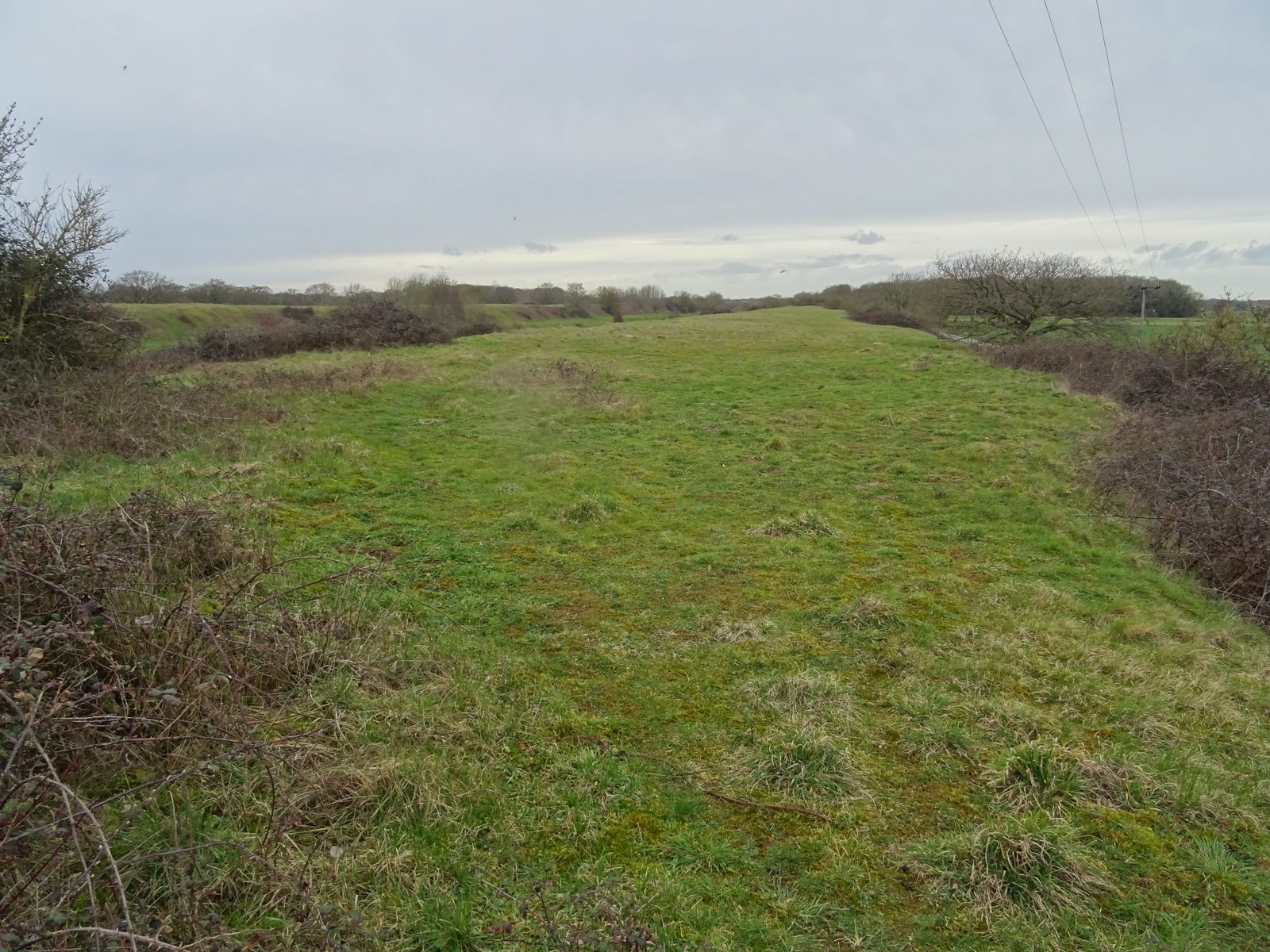 Grazing Amenity land Wretton