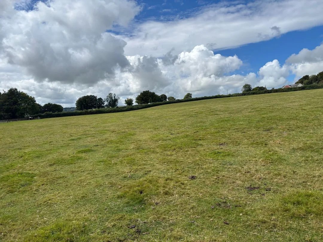 Land with paddocks in Lampeter