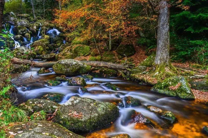 Dartmoor National Park